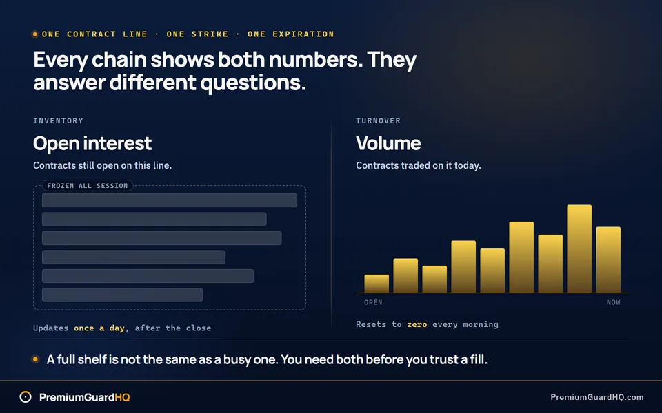 Open interest shown as standing contract inventory that updates once a day after the close, set beside volume shown as today's turnover resetting to zero every morning, the two numbers an options chain reports for the same contract line.